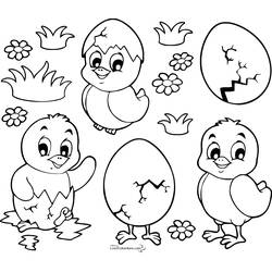Coloring page: Chick (Animals) #15313 - Printable coloring pages