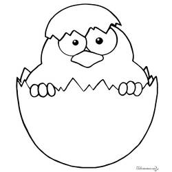 Coloring page: Chick (Animals) #15324 - Printable coloring pages