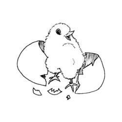 Coloring page: Chick (Animals) #15327 - Free Printable Coloring Pages