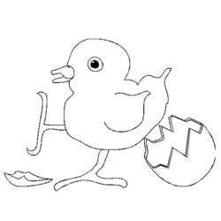 Coloring page: Chick (Animals) #15328 - Free Printable Coloring Pages