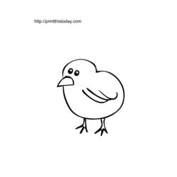 Coloring page: Chick (Animals) #15337 - Printable coloring pages