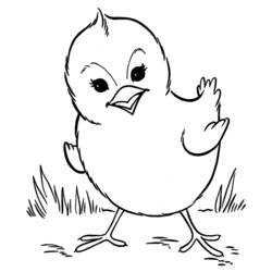 Coloring page: Chick (Animals) #15338 - Printable coloring pages