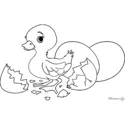 Coloring page: Chick (Animals) #15339 - Printable coloring pages