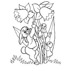 Coloring page: Chick (Animals) #15342 - Free Printable Coloring Pages
