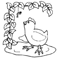 Coloring page: Chick (Animals) #15363 - Free Printable Coloring Pages
