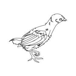 Coloring page: Chick (Animals) #15386 - Free Printable Coloring Pages