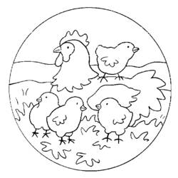 Coloring page: Chick (Animals) #15388 - Free Printable Coloring Pages