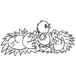 Coloring page: Chick (Animals) #15401 - Printable coloring pages