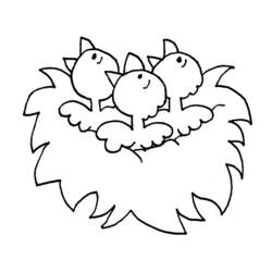 Coloring page: Chick (Animals) #15403 - Free Printable Coloring Pages
