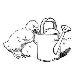 Coloring page: Chick (Animals) #15405 - Free Printable Coloring Pages