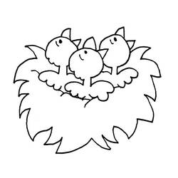 Coloring page: Chick (Animals) #15437 - Printable coloring pages