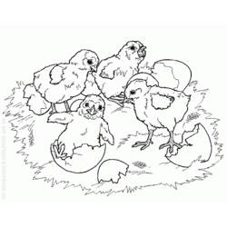 Coloring page: Chick (Animals) #15472 - Free Printable Coloring Pages