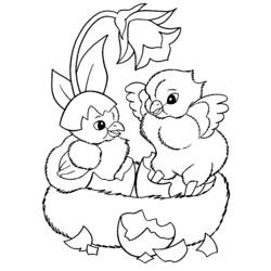 Coloring page: Chick (Animals) #15477 - Printable coloring pages