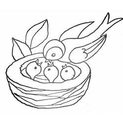 Coloring page: Chick (Animals) #20311 - Free Printable Coloring Pages