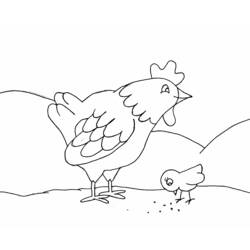Coloring page: Chicken (Animals) #17222 - Printable coloring pages