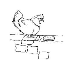 Coloring page: Chicken (Animals) #17230 - Free Printable Coloring Pages