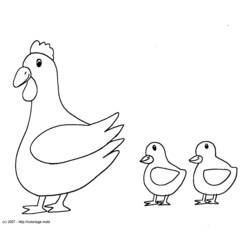 Coloring page: Chicken (Animals) #17238 - Printable coloring pages