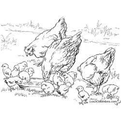 Coloring page: Chicken (Animals) #17265 - Printable coloring pages