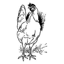 Coloring page: Chicken (Animals) #17271 - Free Printable Coloring Pages