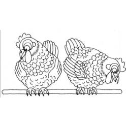 Coloring page: Chicken (Animals) #17278 - Free Printable Coloring Pages