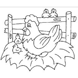 Coloring page: Chicken (Animals) #17325 - Free Printable Coloring Pages