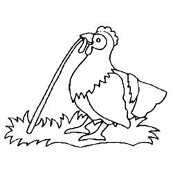 Coloring page: Chicken (Animals) #17342 - Free Printable Coloring Pages