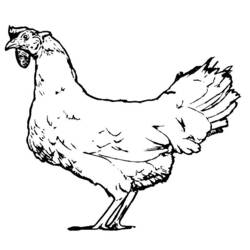 Coloring page: Chicken (Animals) #17371 - Printable coloring pages