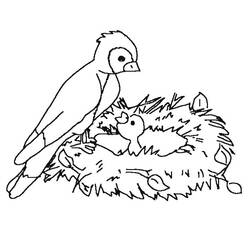 Coloring page: Chicks (Animals) #20106 - Printable coloring pages