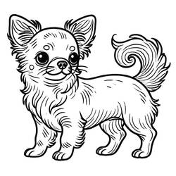 Chihuahua (Animals) coloring page #219786 to print and color