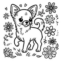 Chihuahua (Animals) coloring page #219797 to print and color
