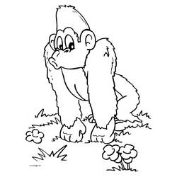 Coloring page: Chimpanzee (Animals) #2826 - Printable coloring pages