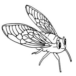 Cicada (Animals) coloring page #187680 to print and color