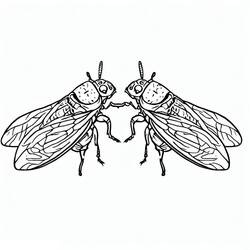 Cicada (Animals) coloring page #187695 to print and color