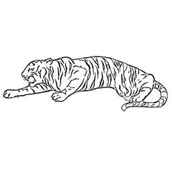 Coloring page: Circus animals (Animals) #20822 - Free Printable Coloring Pages