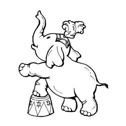Coloring page: Circus animals (Animals) #20834 - Printable coloring pages