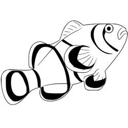 Clownfish (Animals) coloring page #218326 to print and color