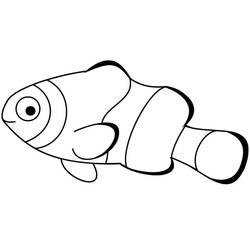 Clownfish (Animals) coloring page #218330 to print and color