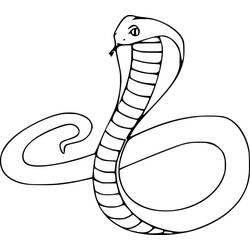 Cobra (Animals) coloring page #212664 to print and color
