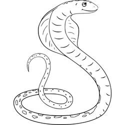 Cobra (Animals) coloring page #212675 to print and color