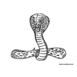 Coloring page: Cobra (Animals) #3225 - Printable coloring pages