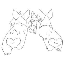 Corgi - Free printable coloring pages