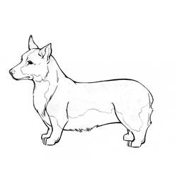 Corgi (Animals) coloring page #220759 to print and color