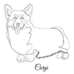 Corgi (Animals) coloring page #220763 to print and color