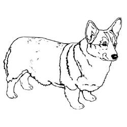 Corgi (Animals) coloring page #220767 to print and color