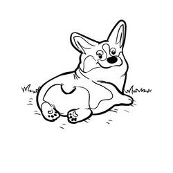 Corgi (Animals) coloring page #220771 to print and color