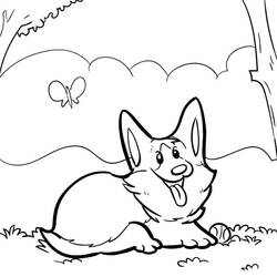Corgi (Animals) coloring page #220776 to print and color