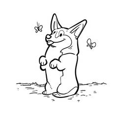 Corgi (Animals) coloring page #220778 to print and color