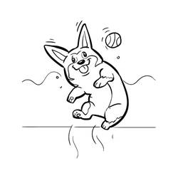 Corgi (Animals) coloring page #220779 to print and color