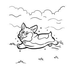 Corgi (Animals) coloring page #220780 to print and color