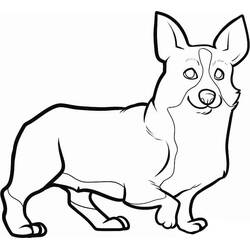 Corgi (Animals) coloring page #220784 to print and color